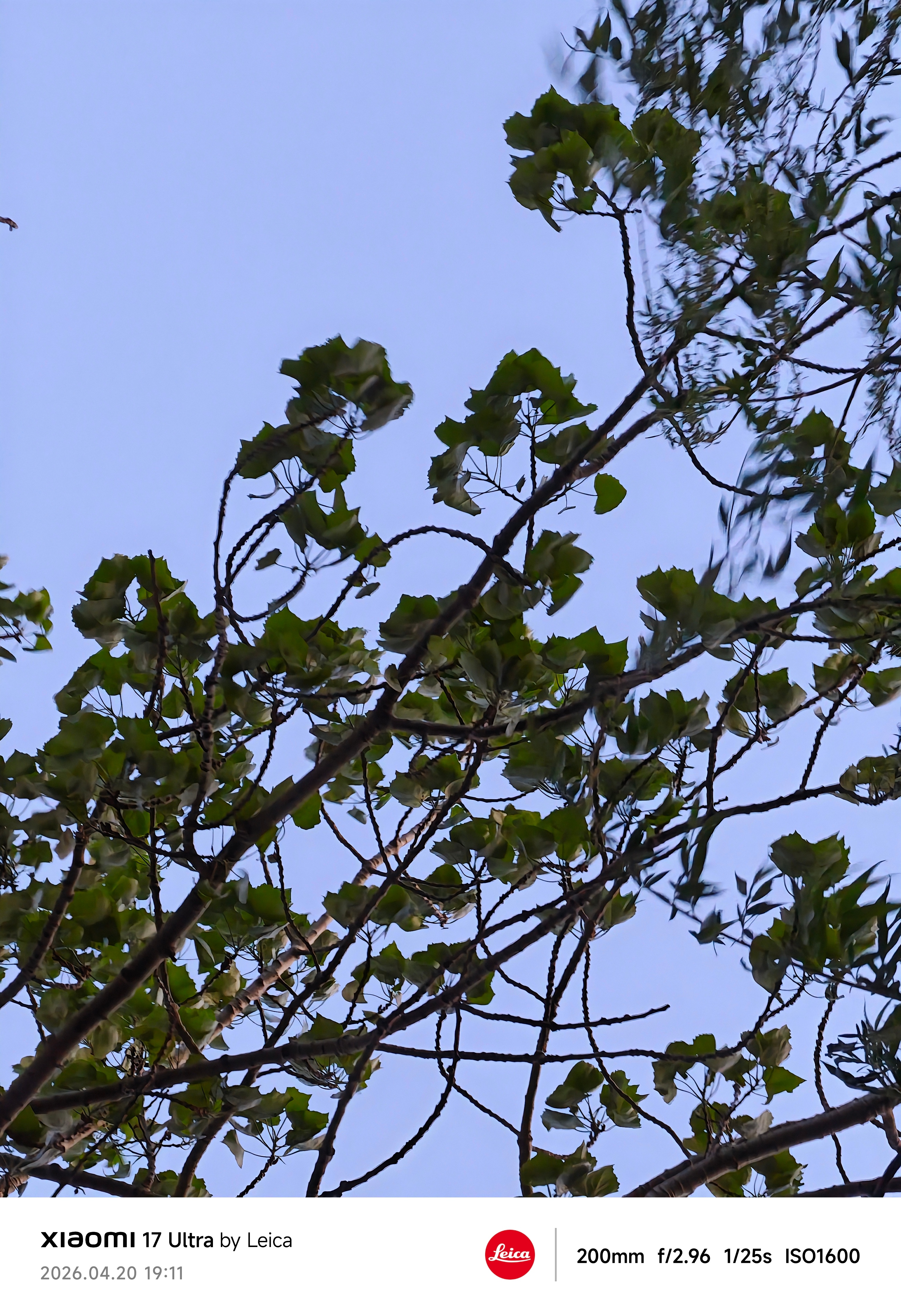 突然反应过来，我小时候咋没有春假。