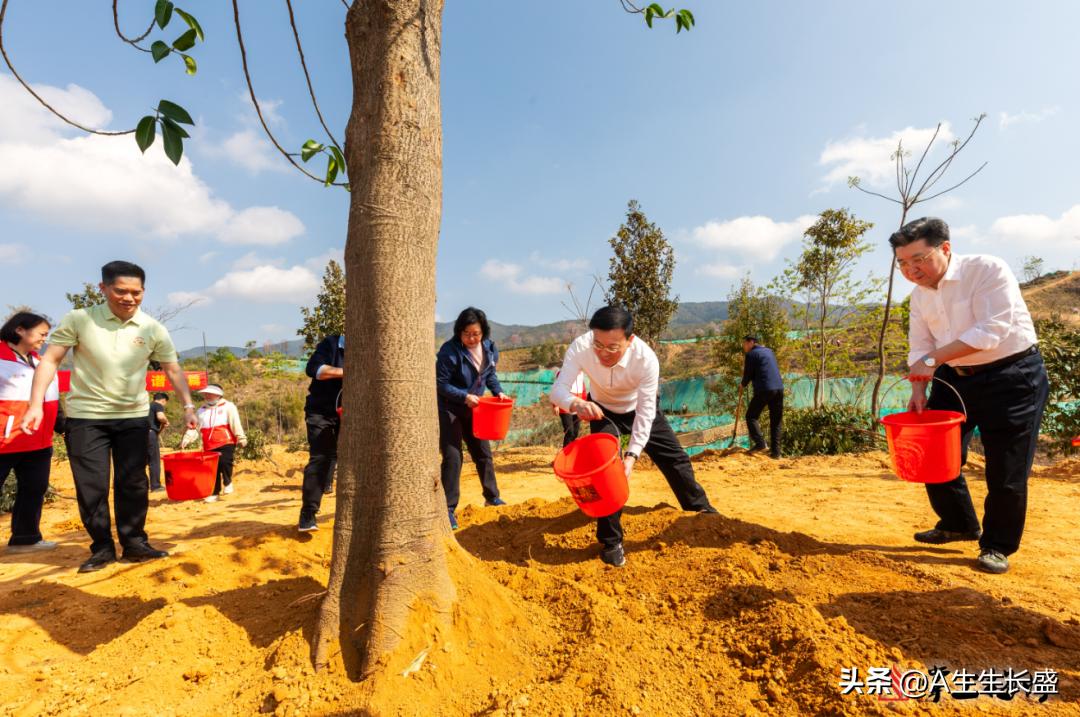 领导们率先垂范培土浇水种树绿化，让国防教育基地遍地披绿装，引领广大干部群众为绿美