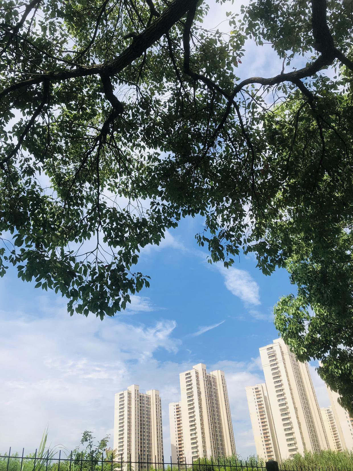 我的今日状态：😁轻松愉快
我这里的天气：☀️晴天
常州今日晴空万里，趁着小暑清