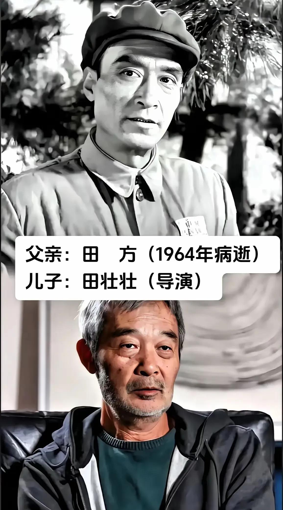 这几组演艺圈里的父子，和爸爸长的好像。父辈的光环可以照亮一时的前路，却不能代替个