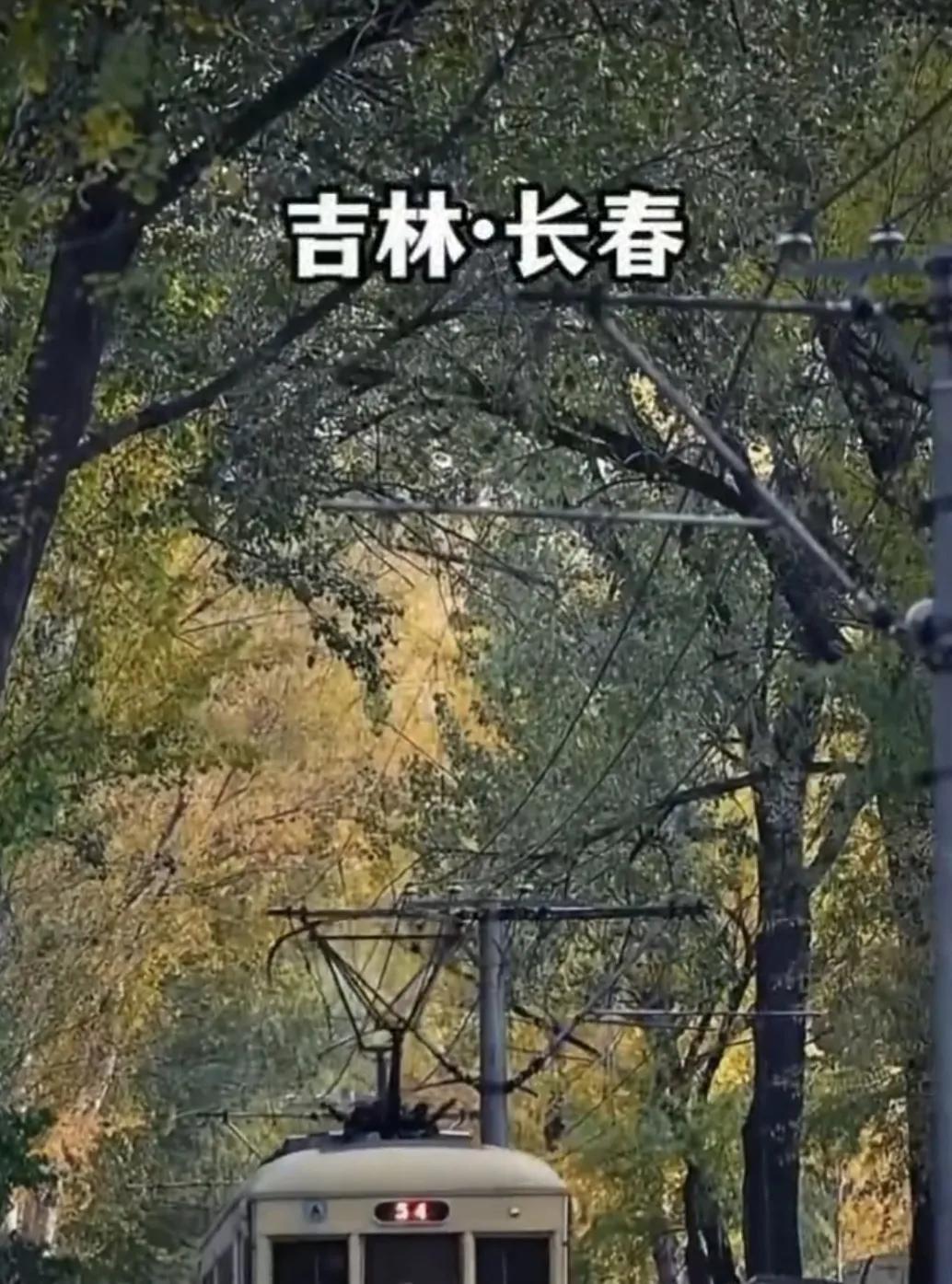 健康小常识：感冒后，面对药店里几十种中成药，怎么选？

记住一个最简便的方法：回