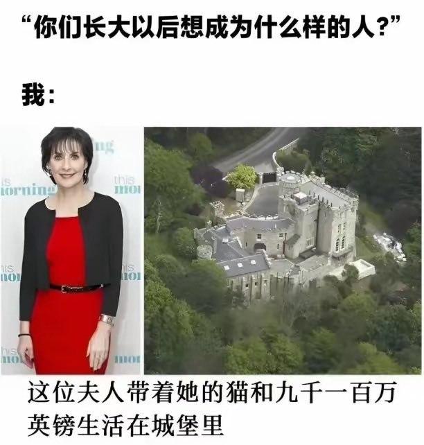 我的梦想 ​​​