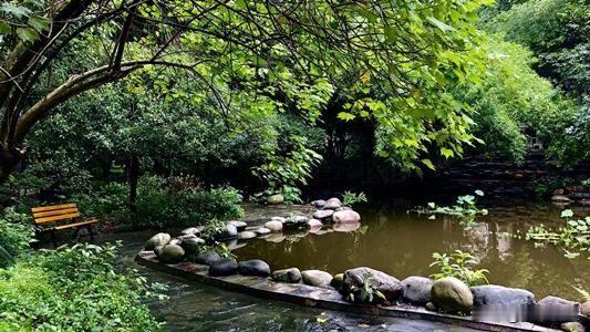 午后闲居

作者： 洛河之星
已无年少鲲鹏志，
空留晦暗蹉跎身。
乡里无争时光闲