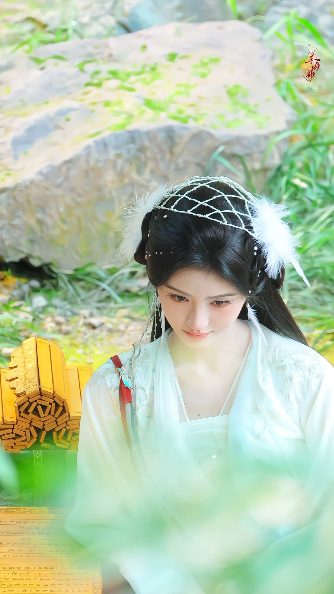 🍏📚🦊苏绿夏鞠婧祎苏绿夏鞠婧祎万花世界