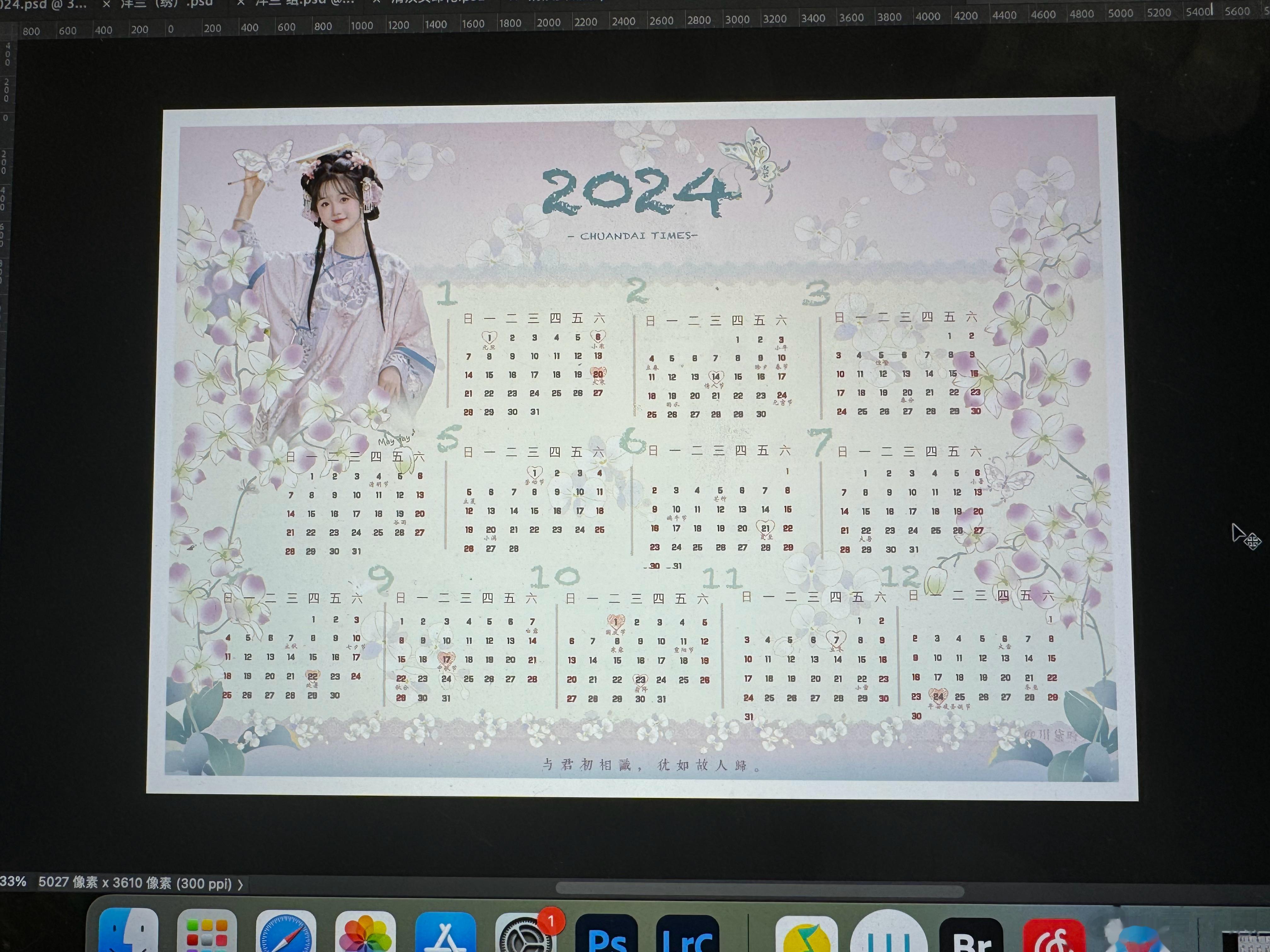 排了个2024年历的大概效果  明天再细化一下嘿嘿。 今年对蝴蝶兰的迷恋，都源自