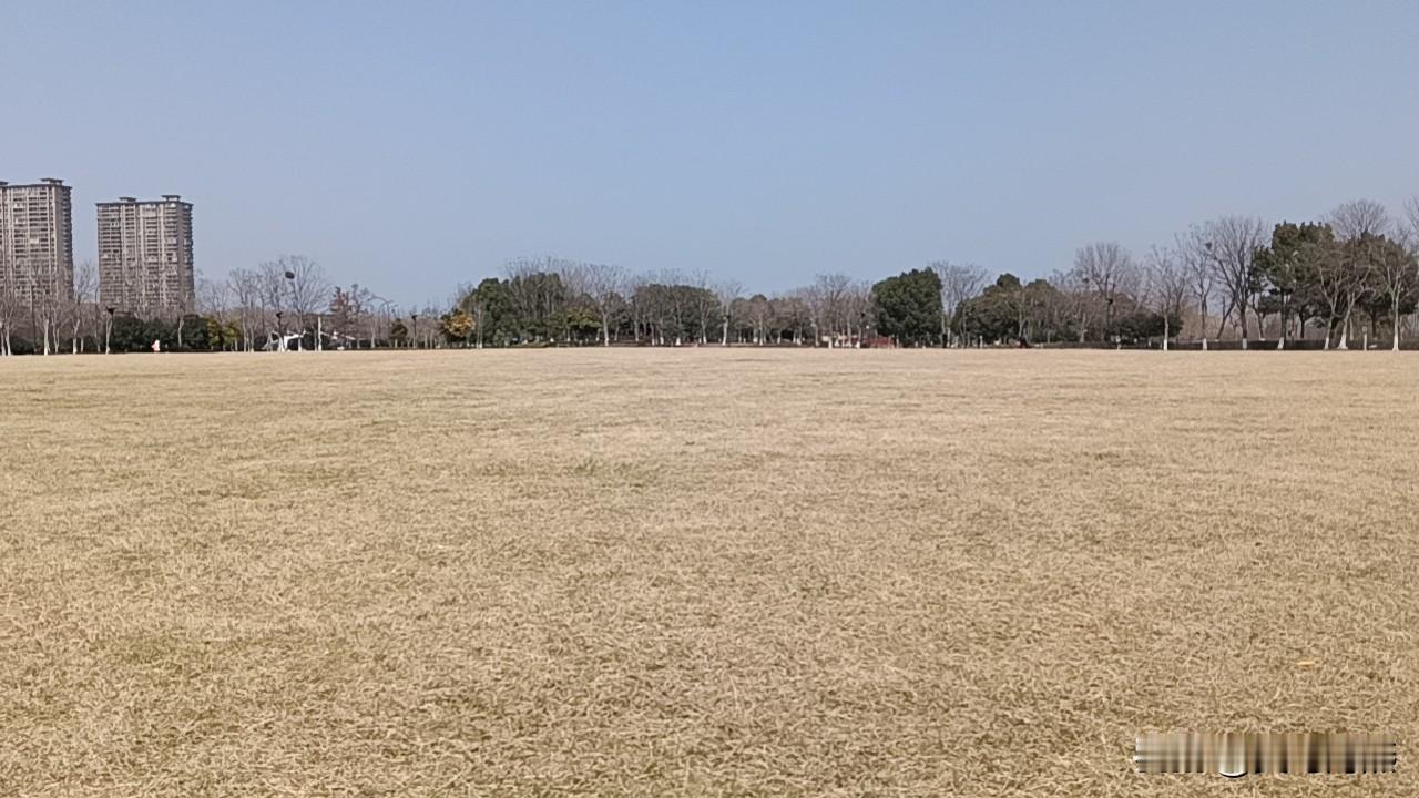 我很感恩我的婆婆！

每次去和小姐妹逛街，喝茶，我就成了别人羡慕的对象！我也有两