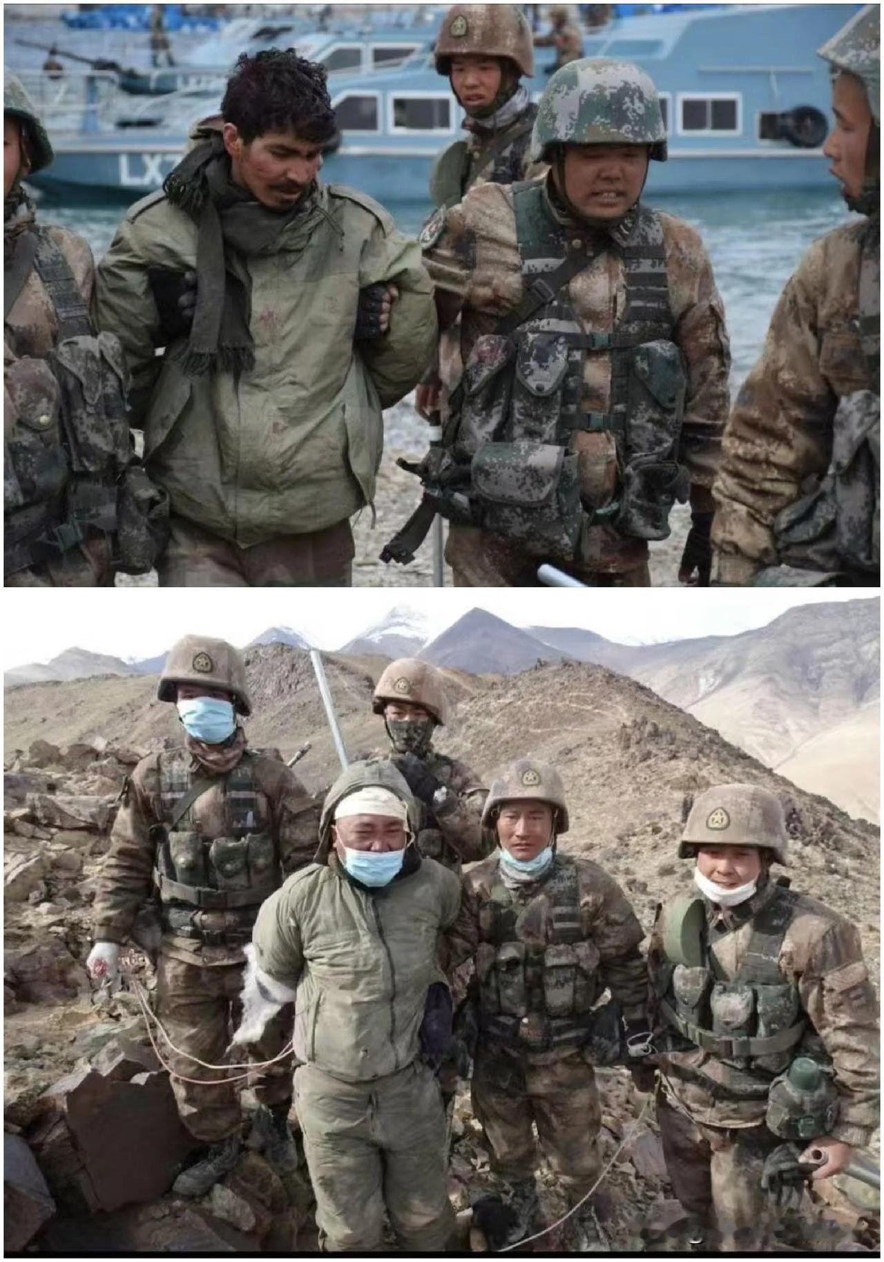[呲牙] 应该还是上次在班公湖捉到的“三哥”（图1～2）——看来照片是分好多次，