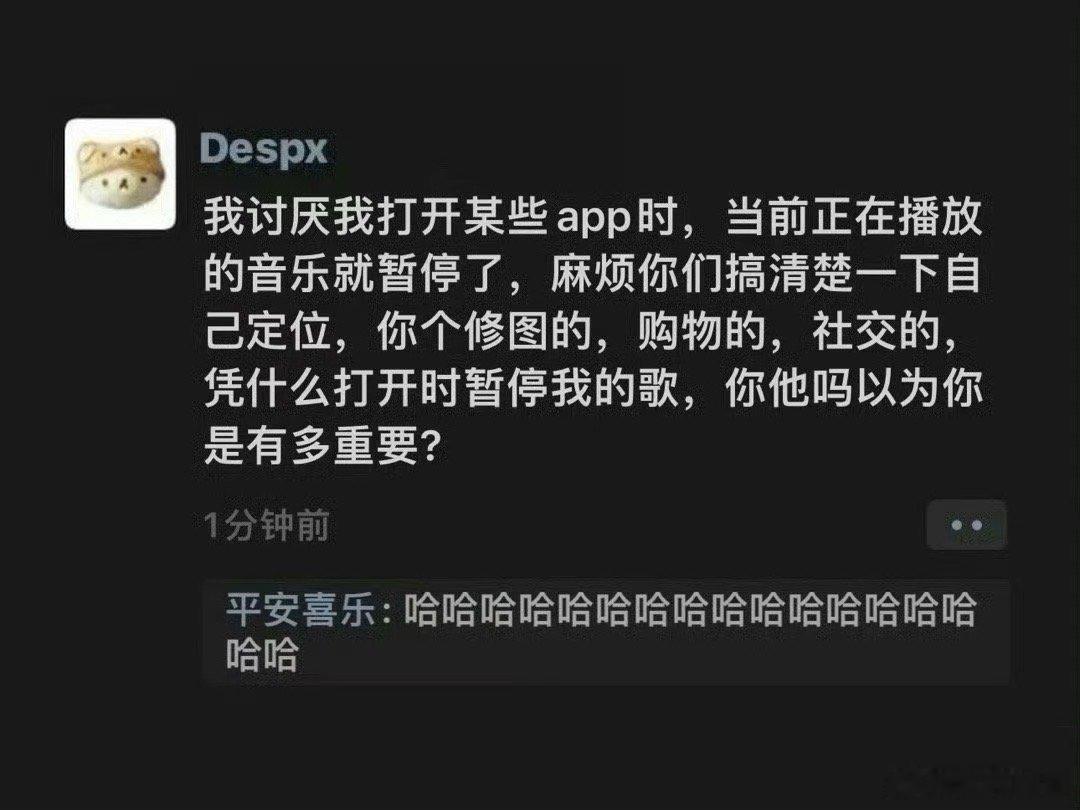 真的讨厌打开APP歌就被暂停了  