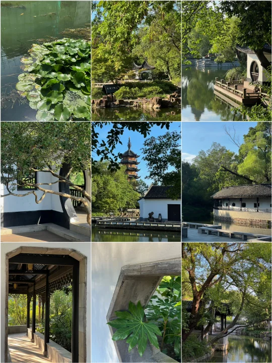 还以为红梅公园很一般，结果硬是去了两次