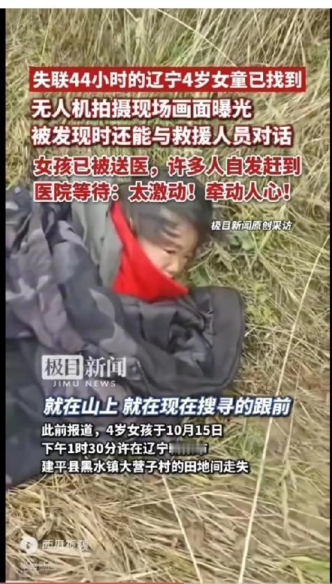 辽宁4岁女童找到了。
截止到10月17日，女孩已失联44小时。社会各级救援累计达