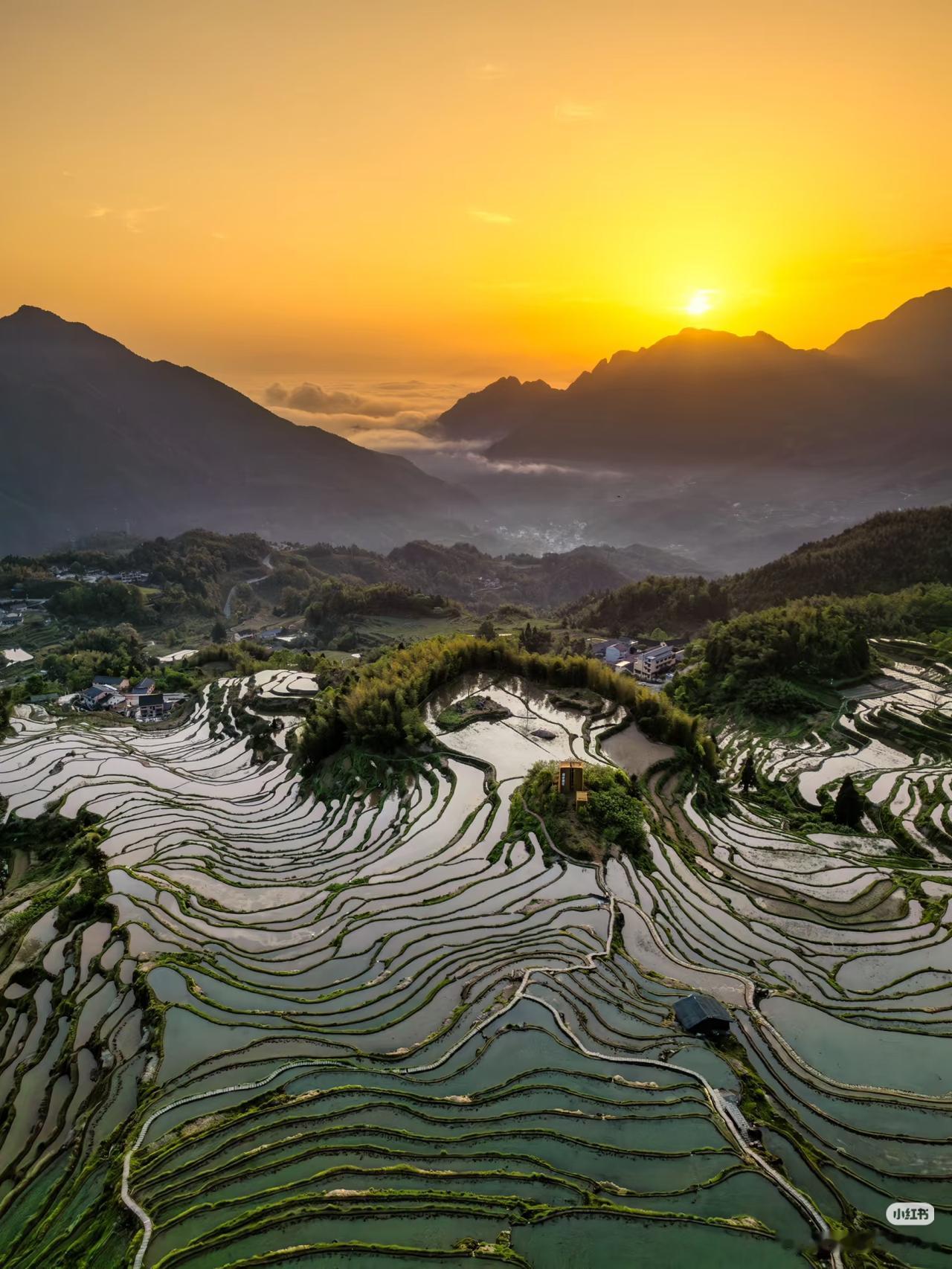 不在贵州‼️在浙江‼️云海梯田直接美到封神🌾
就在浙江！不用千里迢迢去贵州啦！