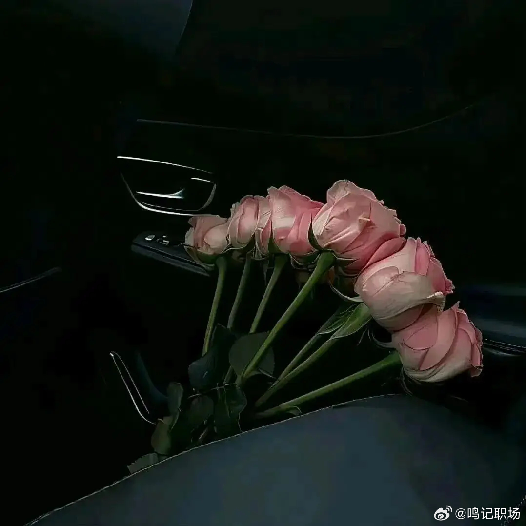 “允许自己慢下来，发呆也是正经事” 