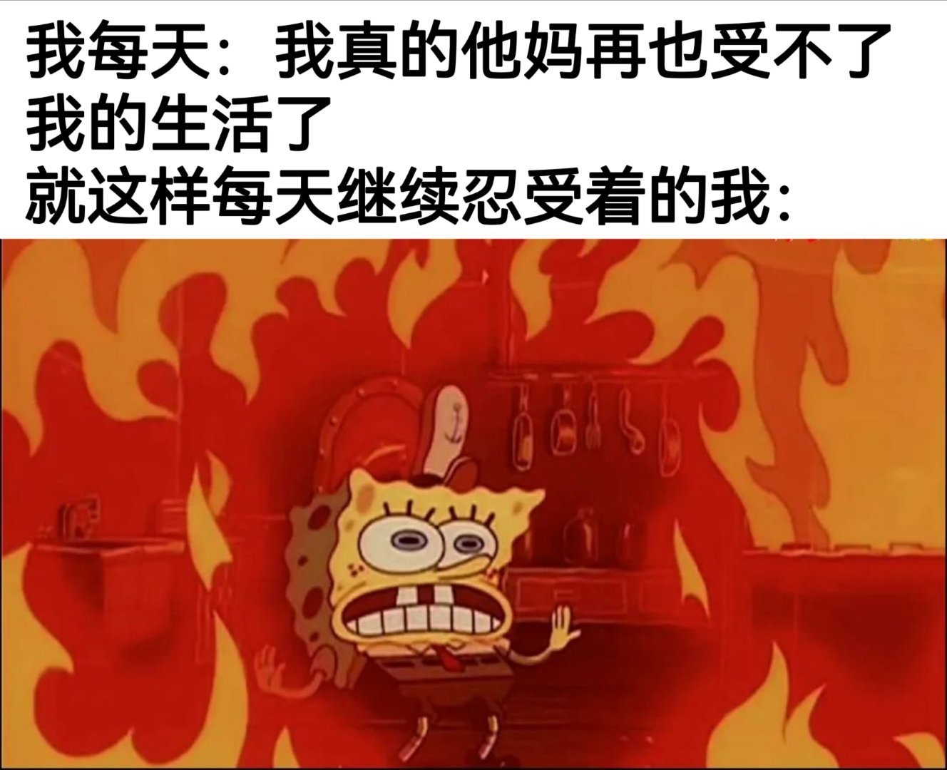 我真的他妈受不了了 