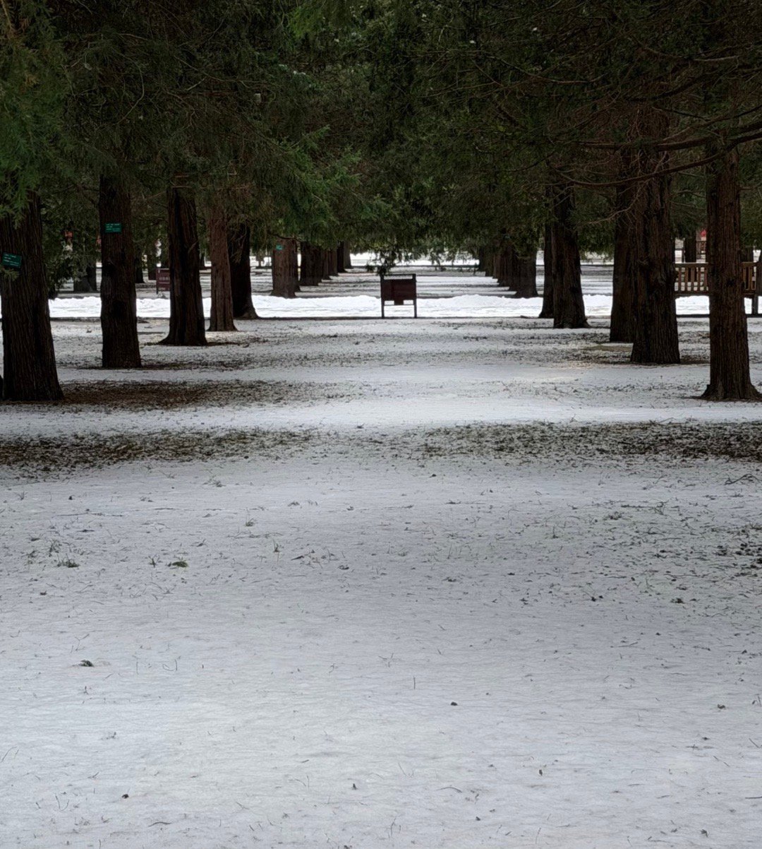 北京下雪听说北京又下雪啦而且很可能是今年冬天最大的一场雪，是不是又能刷到红墙雪景