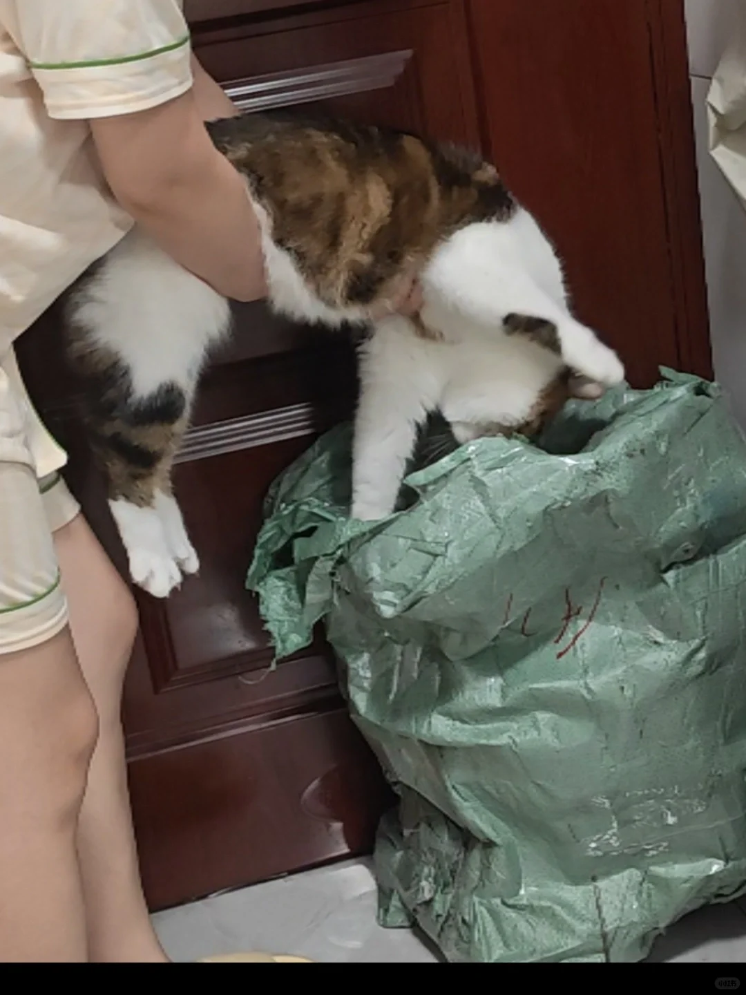 斯到普！斯到普！