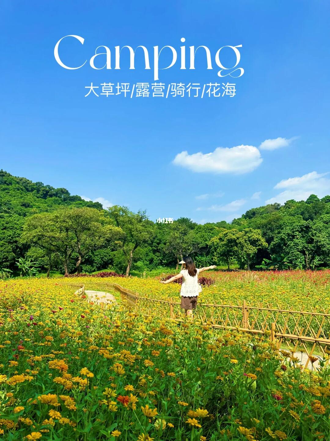 广州绝不能错过的秋日花海❗️大草坪骑行野餐