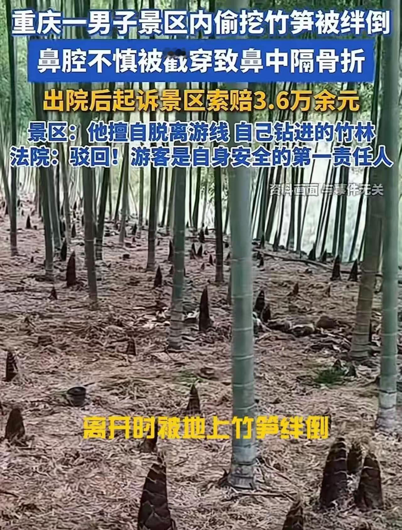 太奇葩了！重庆，男子在景区旅游时，偷跑进竹林挖笋，不慎绊倒，被竹笋戳穿鼻腔，花了