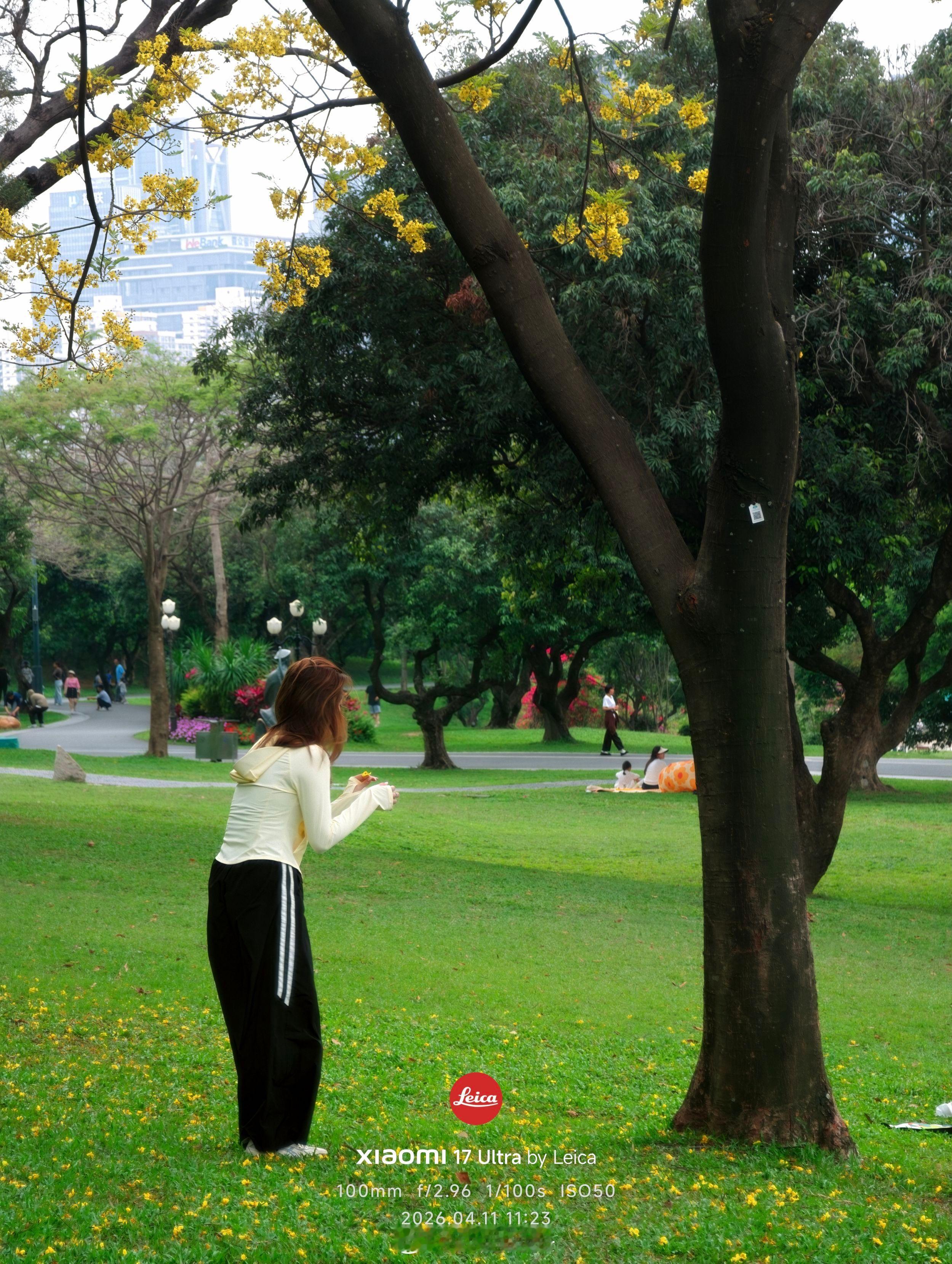 早☀️又是没人比我起更早的一天🌞今天的华为Pura90系列不知道能不能放出真机