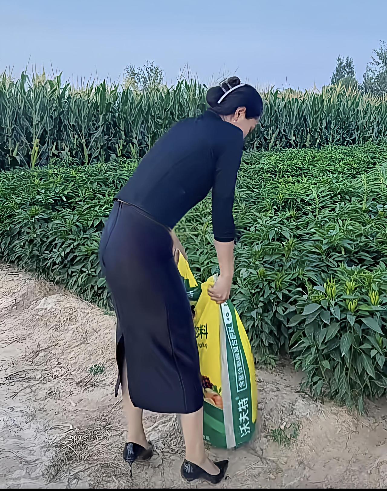 共享美人靓照我们村的“村花”下地干活从来都是身着正装！