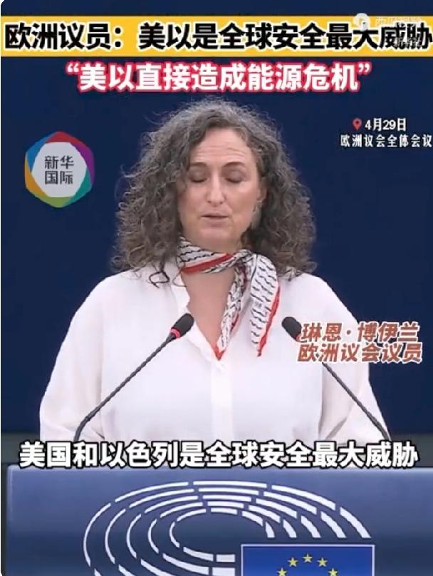 【两个大坏蛋】
爱尔兰籍欧洲议会议员琳恩·博伊兰于4月29日在欧洲议会全体会议上