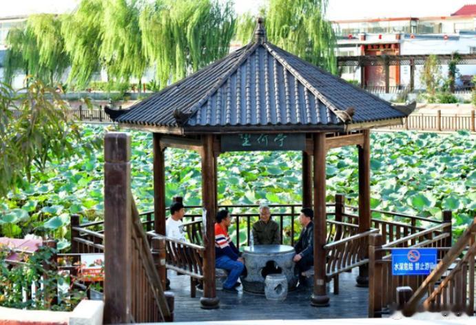 【田金昌——任丘印象】对于任丘，我的家乡，很长一段时间我是不怎么喜欢的。虽然这里