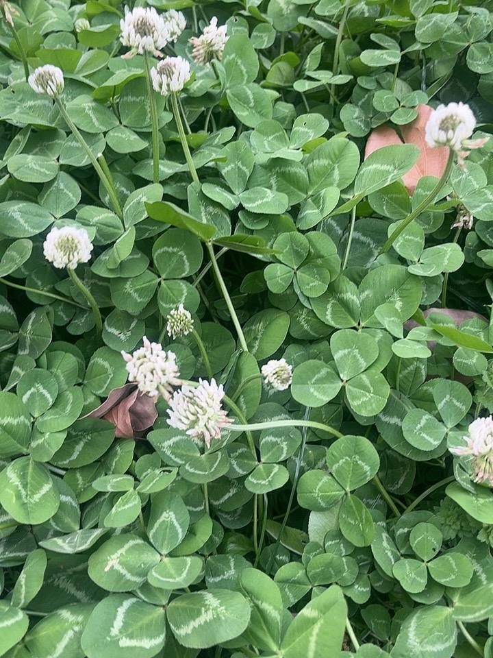 最好的养生续命方式，是把平常日子温柔对待，别再往死里作自己

你一边熬夜到三点，