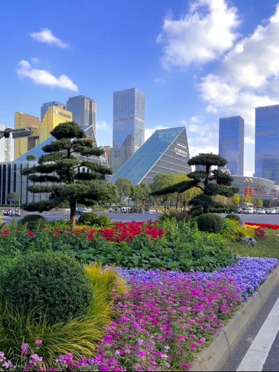 四川人在外最多的5大城市
 
四川人在外最多的5大城市
每一个都藏着川渝人的奋斗