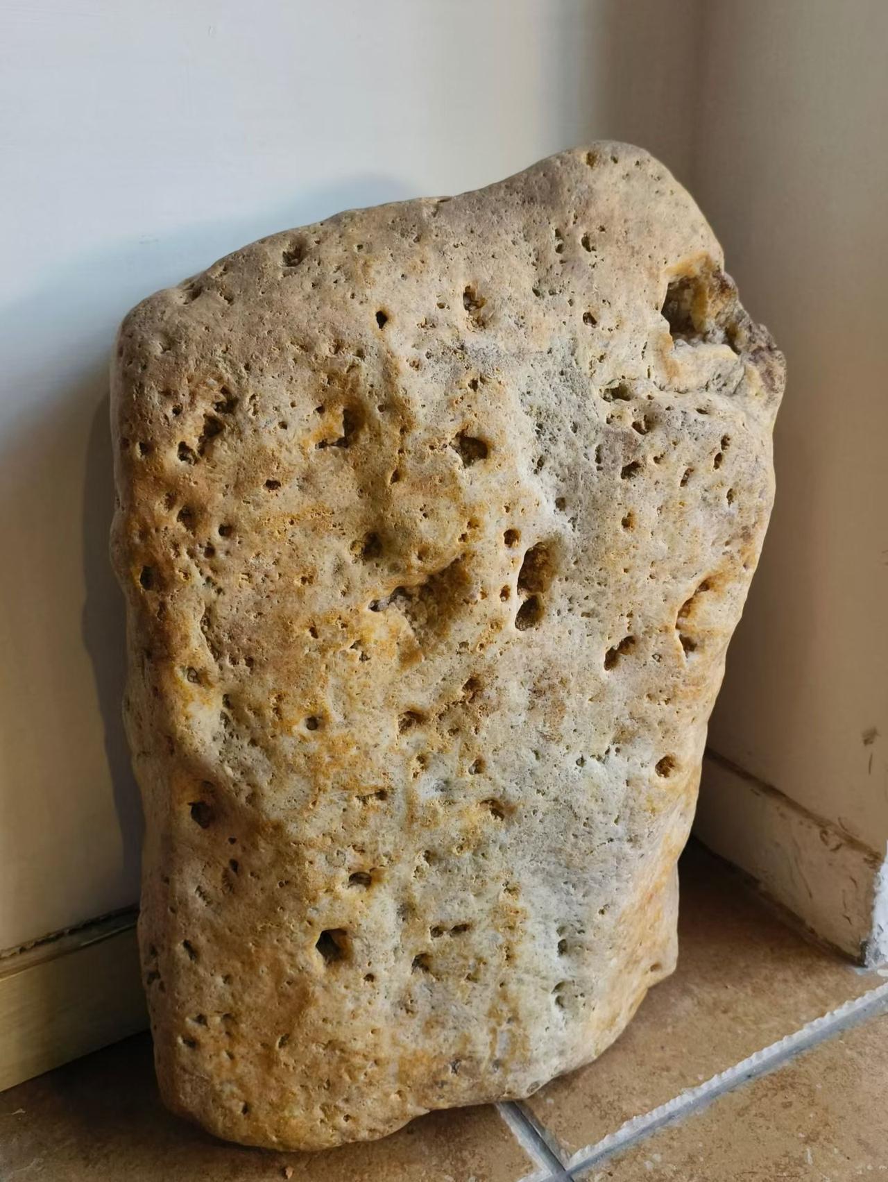 《七律～祖国山河寸土不让》

色浅春回万世坡，
光微日晃半空波；
声低月送全心语