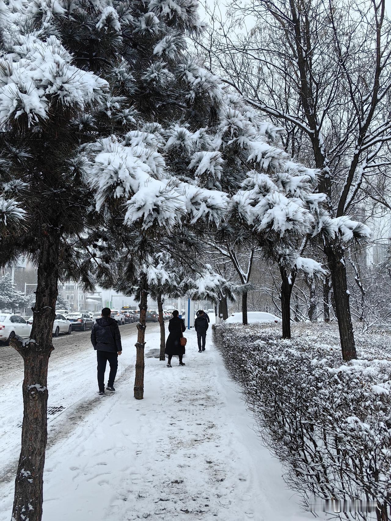 凡事向好，象这样的又一夜大雪，总有人欢喜有人忧。有人高兴大雪的到来净化了城市的空