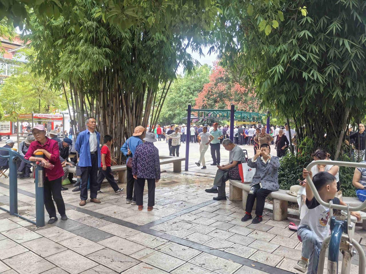 我正在曲靖麒麟公园，满目绿意扑面而来，高大的树木与成片竹林遮出片片清凉。
 
这