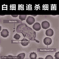 男孩幽门螺杆菌阳性治疗4次全失败前几天做肠镜胃镜也查了幽门螺旋杆菌，阴性，还好我