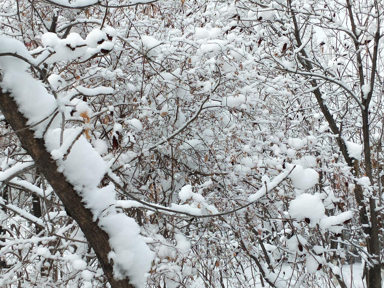 冬日生活打卡季