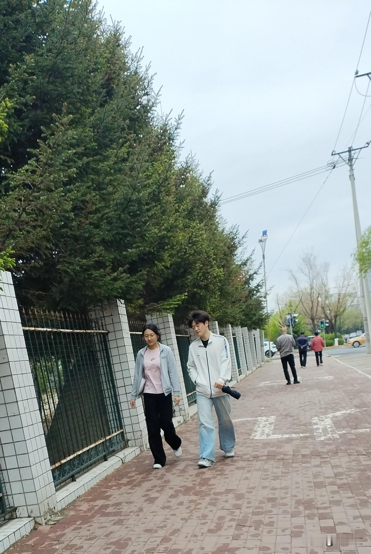 风雨路
雨歇寒重透衣凉，
篱外深情诉衷肠。
檀郎挺拔如玉树，
请续句……
（红颜