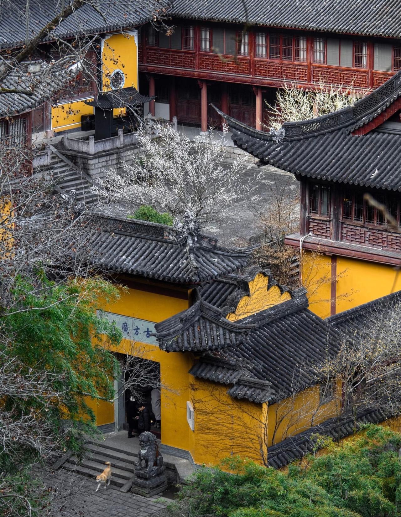 本来觉得国清寺已经够美了
直到我来到了这里
它便是石梁飞瀑景区的方广寺
和国清寺