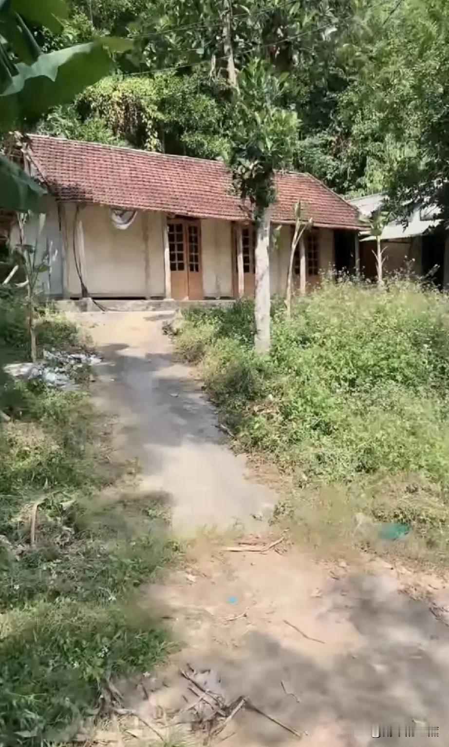 小松确定要给越南小松买地建房了！网友们纷纷替小松担心，怕秋秋家其他七大姑八大姨会