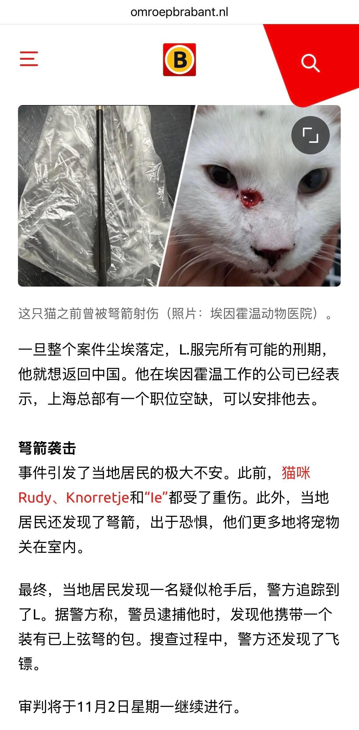 原来这是属于文化差异啊，一名26岁中国籍男子在荷兰用弓箭射杀猫咪被捕受审，他解释
