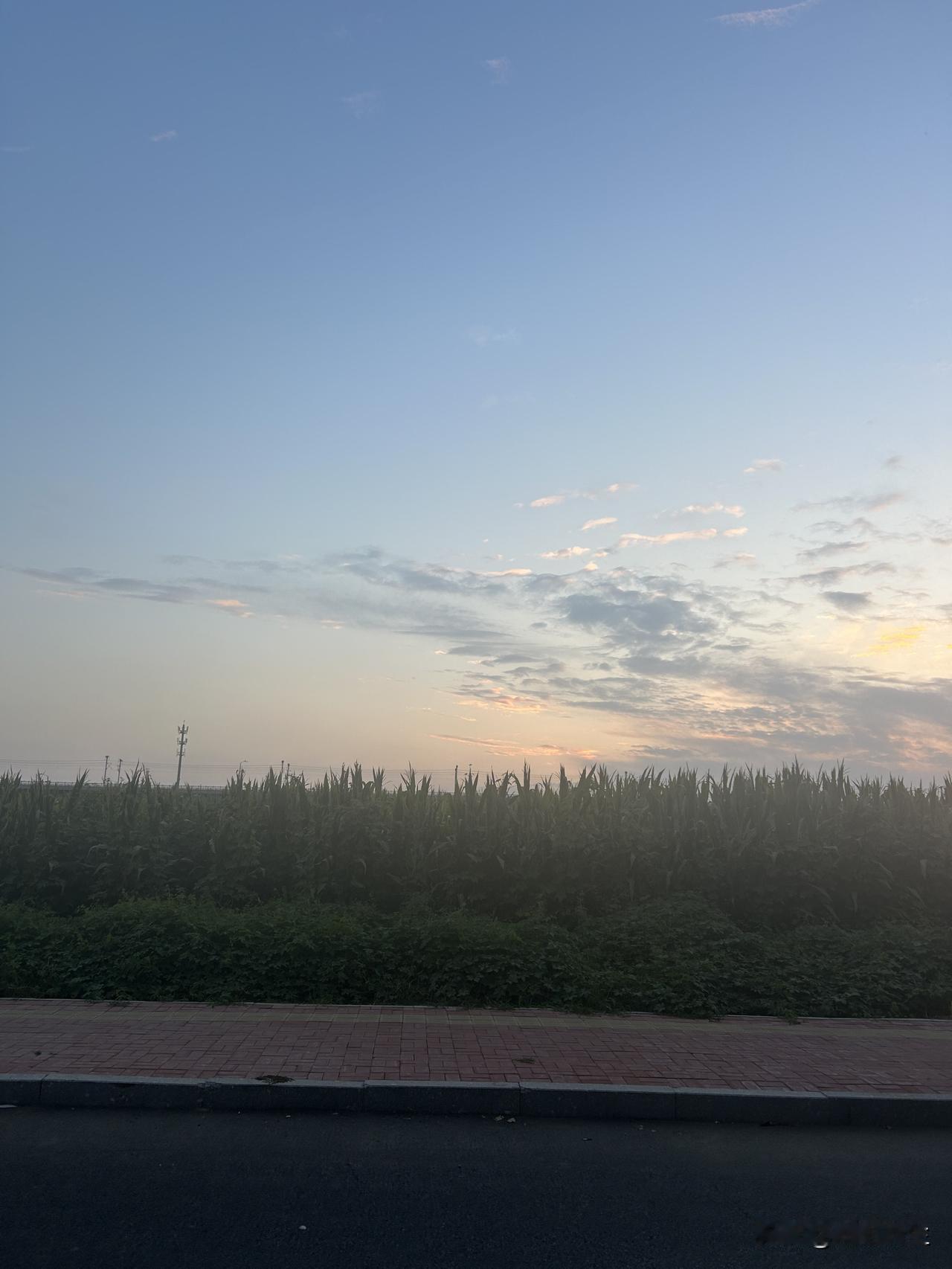 有人问，如果你前夫提出要和你复婚；你会同意吗？

前两年我确实想过这个问题，想着