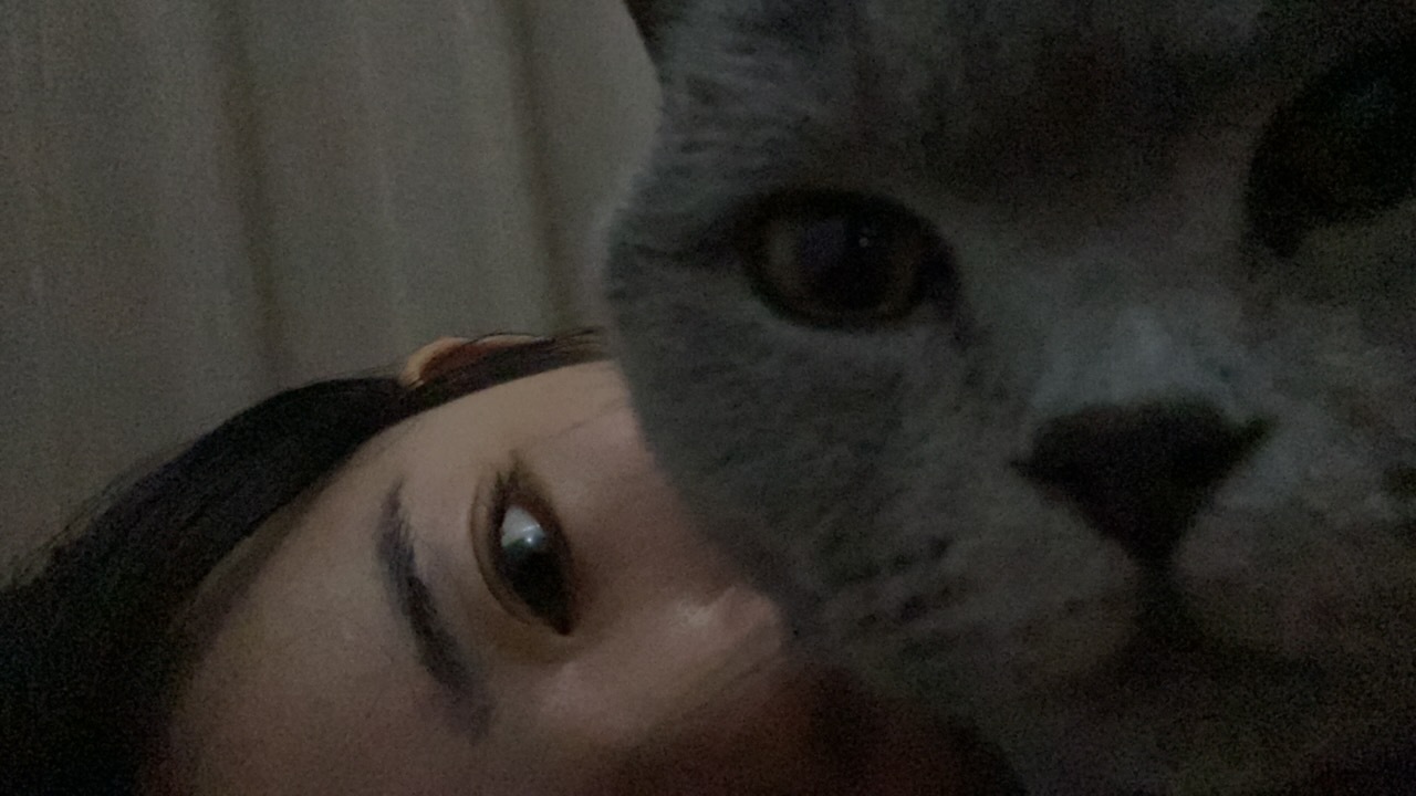 找到一个晒猫话题！我的猫猫也曾在我哭泣的时候过来摸摸我，她们陪了我很多年，猫猫是