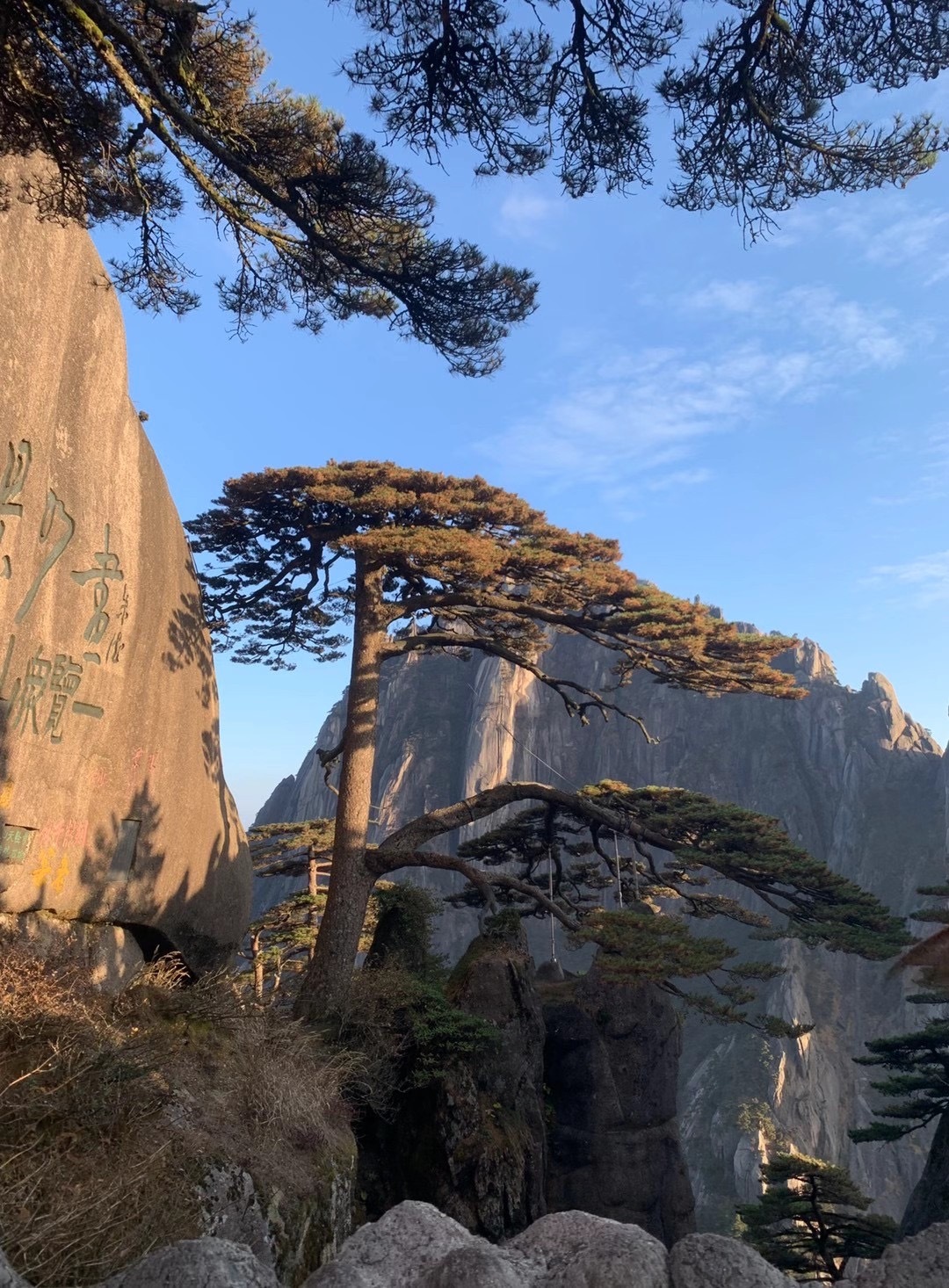岁月漫长，值得全力以赴。不要被暂时的困境困住脚步，乌云终会散去，晴空总会到来。与