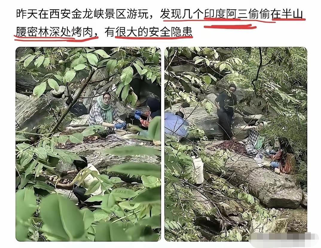 胆大包天！
几名印度籍游客躲进西安金龙峡半山腰的密林深处，偷偷生起明火烤肉，专挑