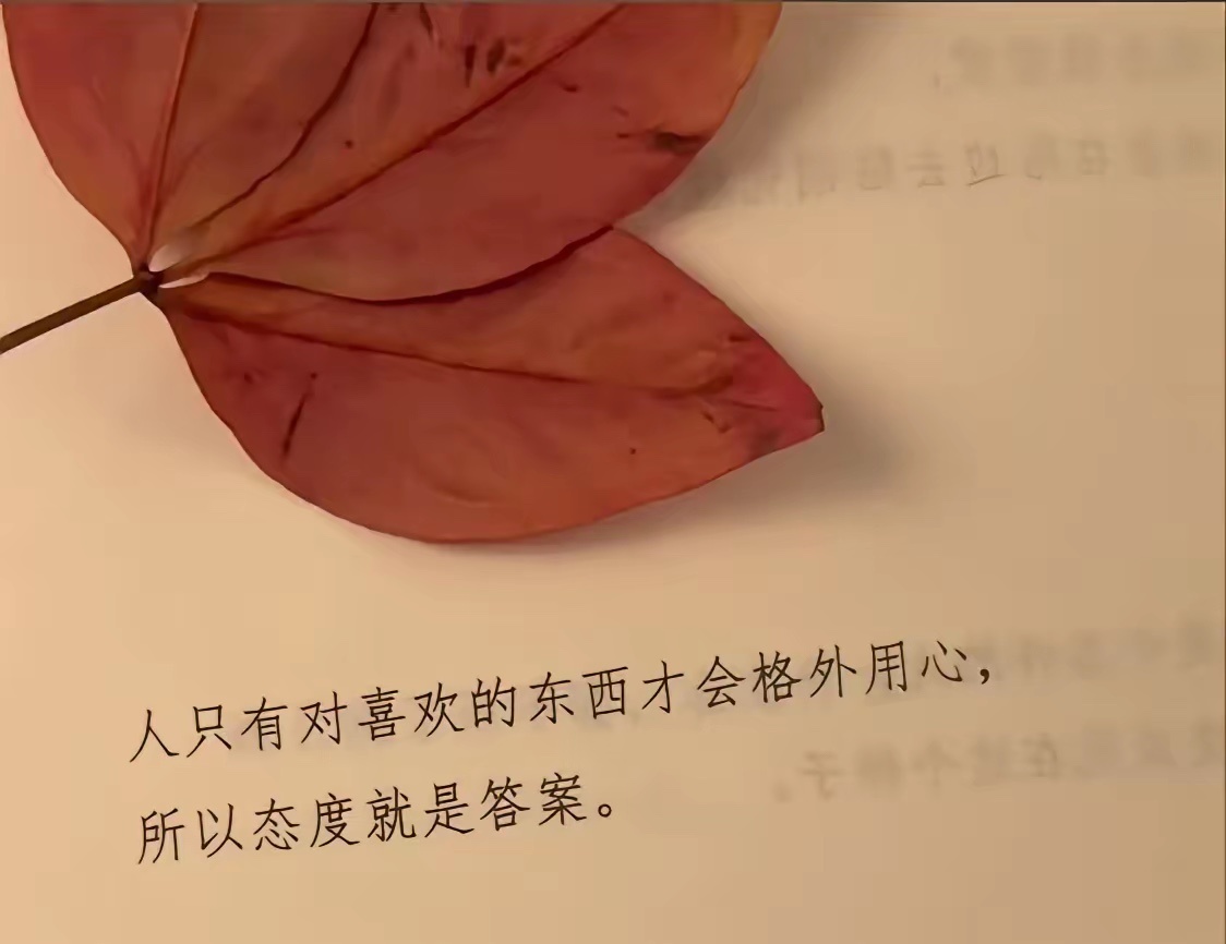 人只有对喜欢的东西才会格外用心，所以态度就是答案。 