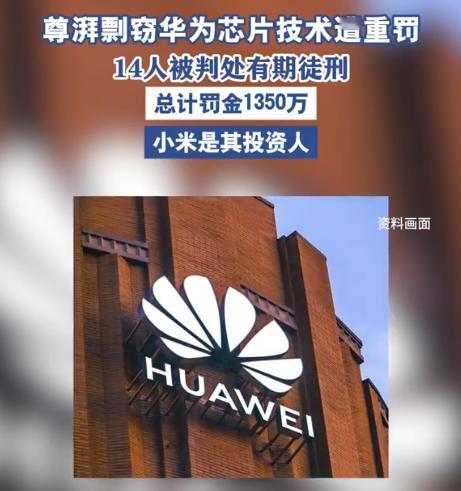 被董明珠说中了！国产芯片出了大问题，内鬼落网，主犯张某还是美国留学生，从美国高通