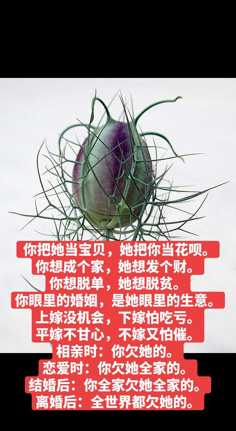  你想成个家，。 你想脱单，她想 。 你眼里的 。 上嫁没机会，下...