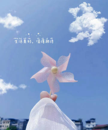 “ 花怎么会浪漫呢 浪漫的是买花的人 ” 