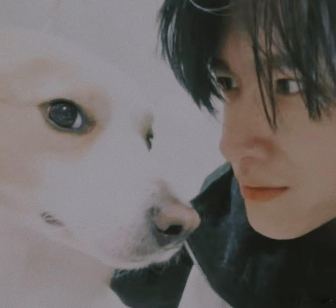 展轩和狗狗贴贴合照展轩你的双眼里只有仇恨 展轩：你的双眼里只有仇恨展轩你就嘴硬心