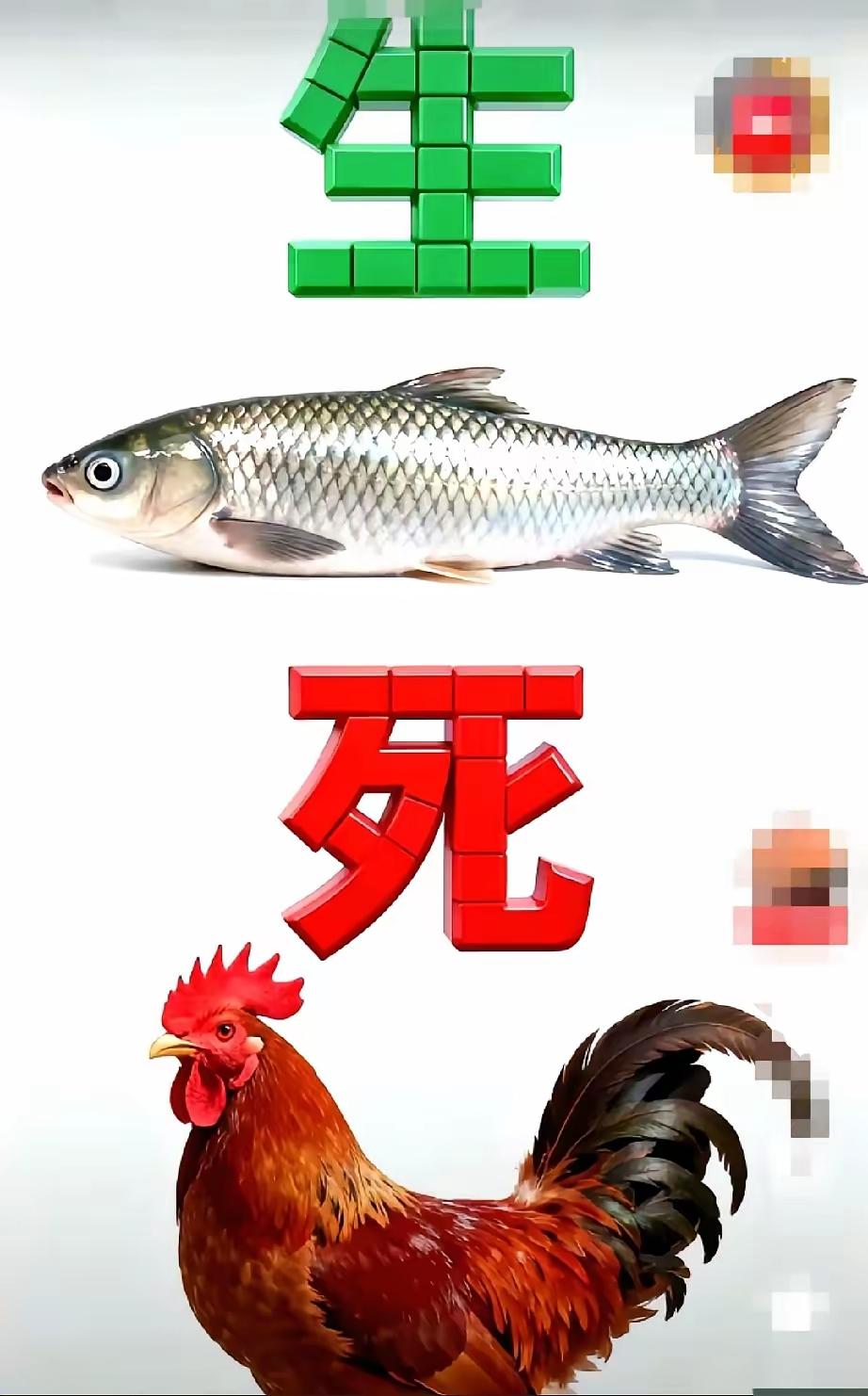 窗外细雨绵绵下，室内奋斗永不拉。三天周期转眼到，满怀欣喜猜猜吧。[送自己一朵花]