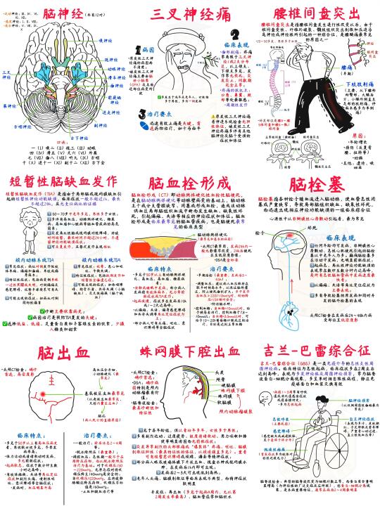 📒医学生笔记｜神经系统合集✅干货收藏