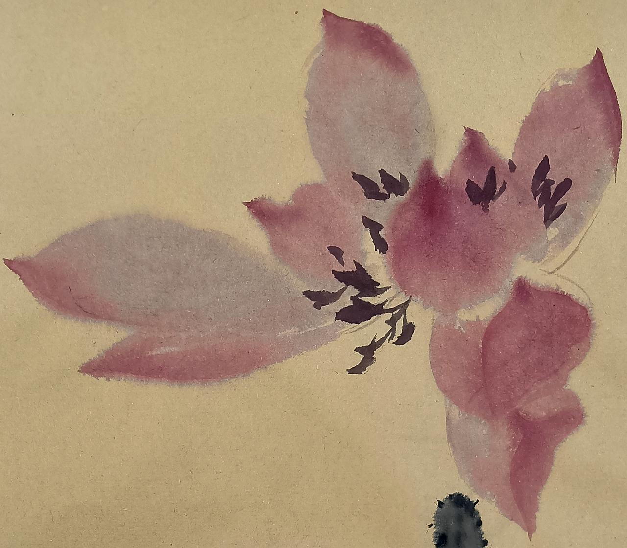 胭脂色荷花