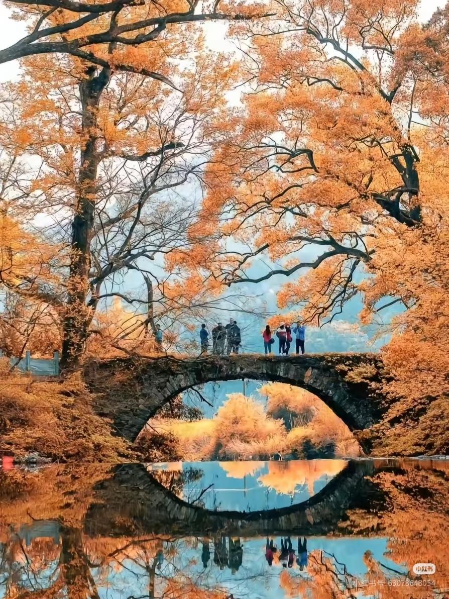 婺源赏秋攻略｜晒出人间烟火·篁岭柿子红🍂
🍂故宫的初雪如期而至，而江南已进入