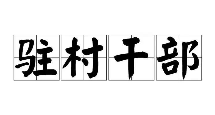 适合驻村的第一书记:
1.不怕条件艰苦的人，不脱离群众。
2.有农村生活经历的人